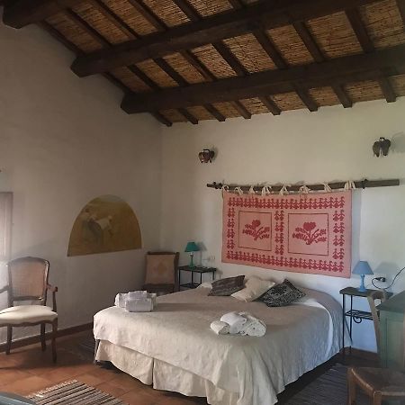 Agriturismo Il Muto Di Gallura Aggius Екстериор снимка