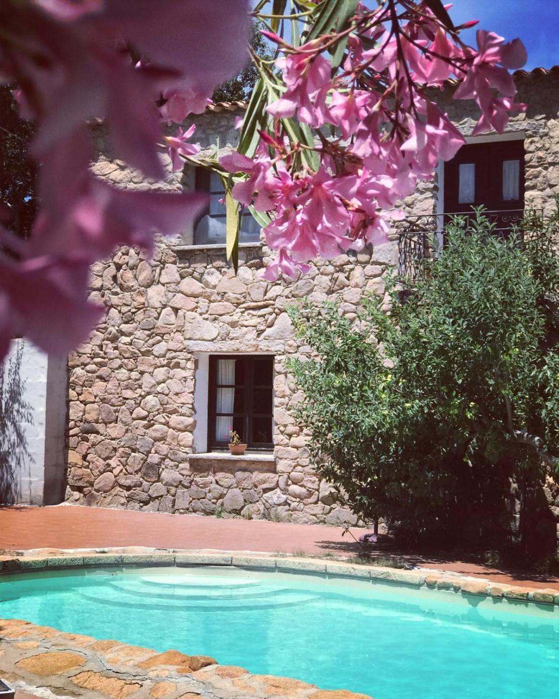 Agriturismo Il Muto Di Gallura Aggius Екстериор снимка