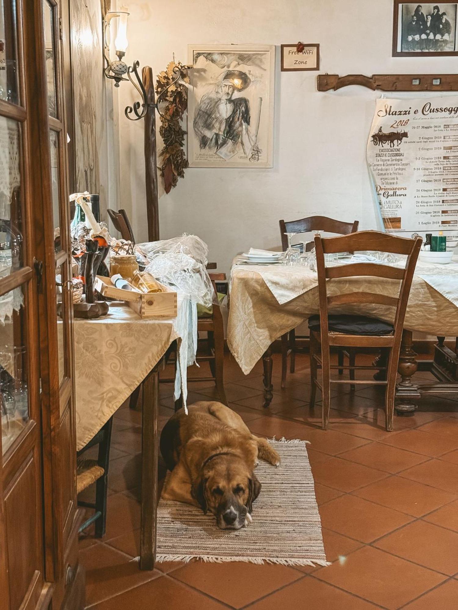Agriturismo Il Muto Di Gallura Aggius Екстериор снимка