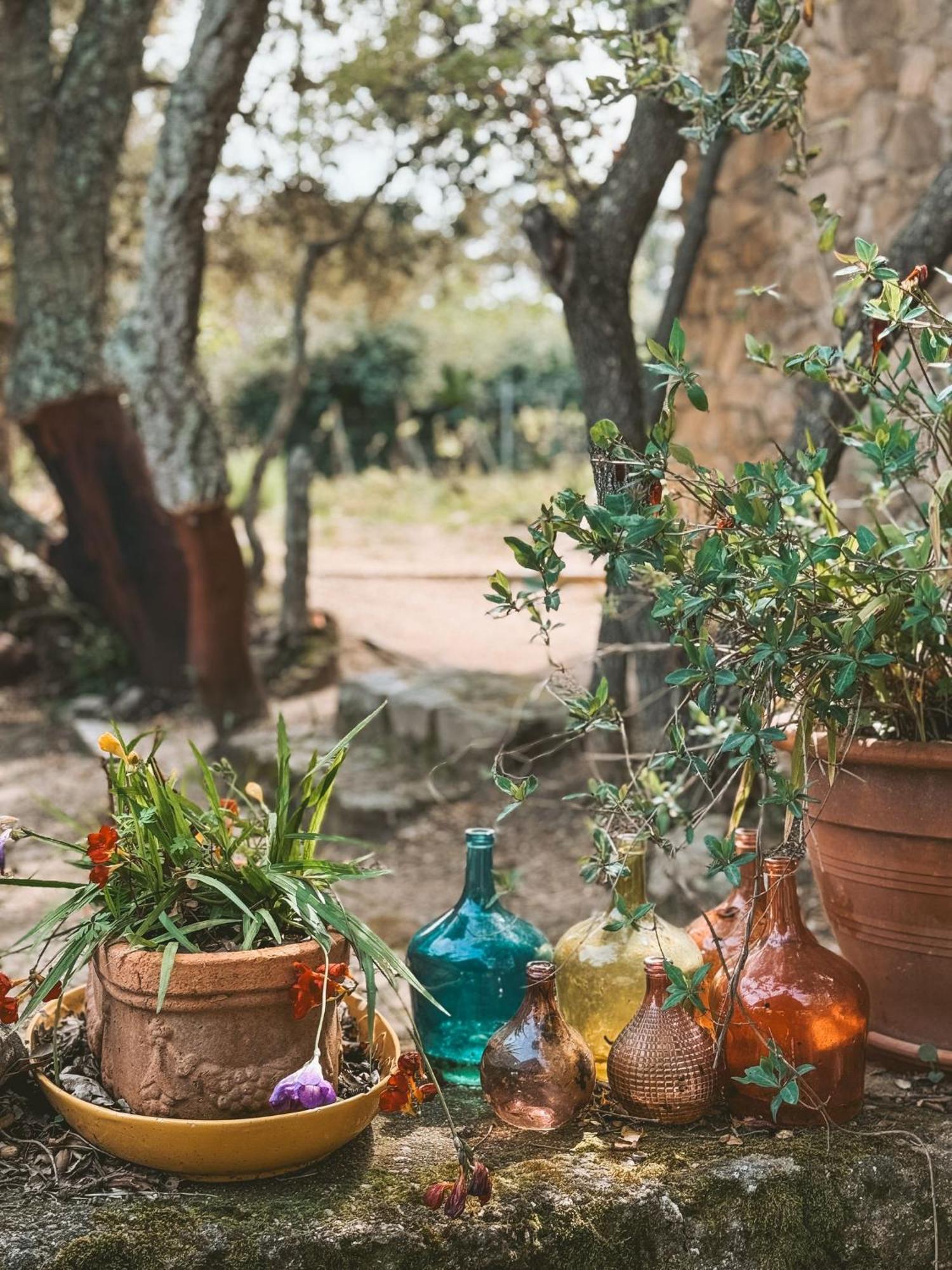 Agriturismo Il Muto Di Gallura Aggius Екстериор снимка