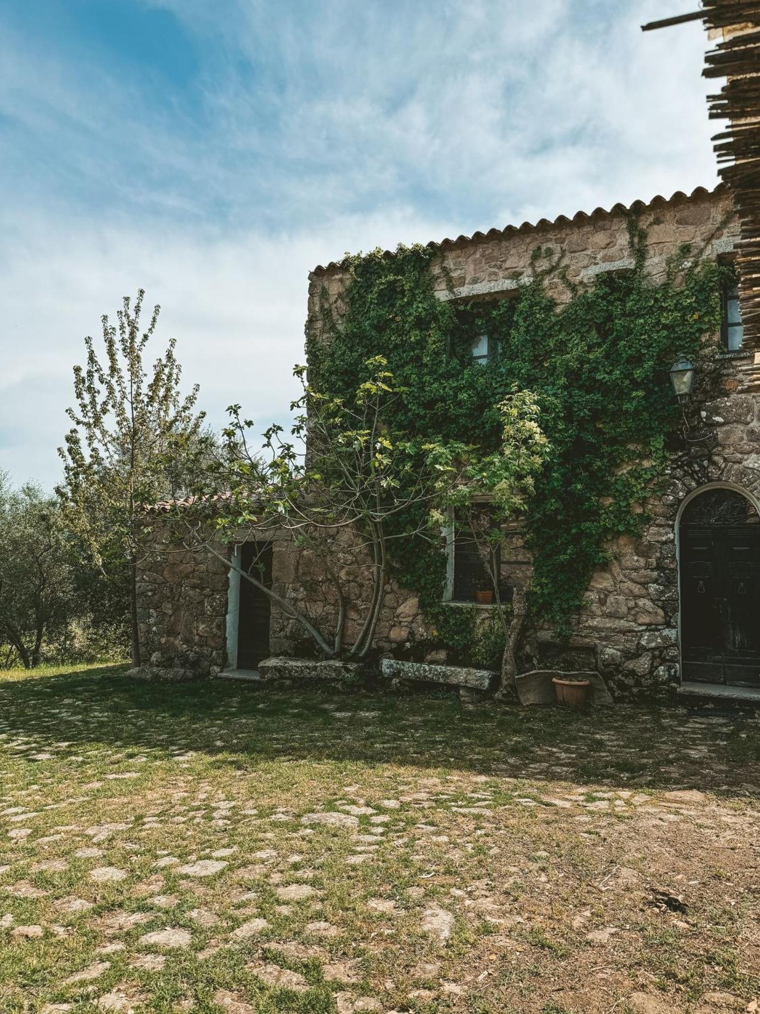 Agriturismo Il Muto Di Gallura Aggius Екстериор снимка
