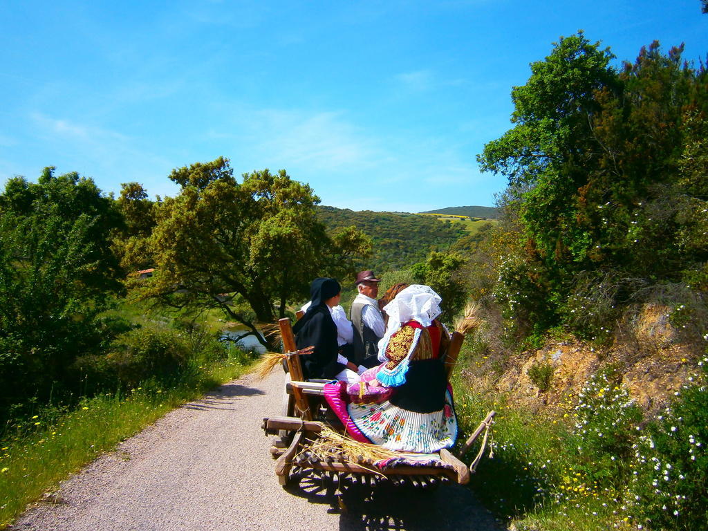 Agriturismo Il Muto Di Gallura Aggius Екстериор снимка