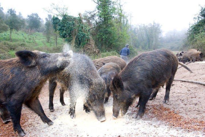 Agriturismo Il Muto Di Gallura Aggius Екстериор снимка