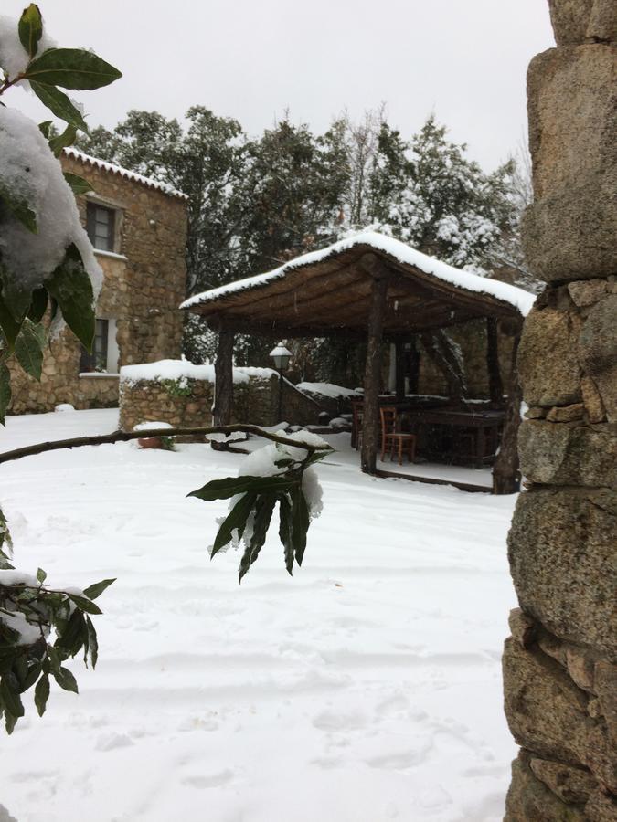 Agriturismo Il Muto Di Gallura Aggius Екстериор снимка