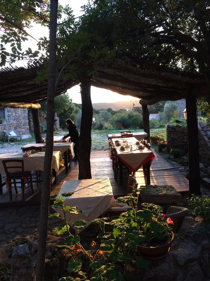 Agriturismo Il Muto Di Gallura Aggius Екстериор снимка