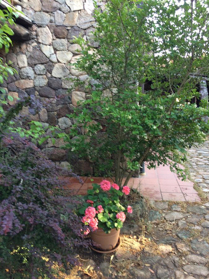 Agriturismo Il Muto Di Gallura Aggius Екстериор снимка